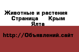  Животные и растения - Страница 3 . Крым,Ялта